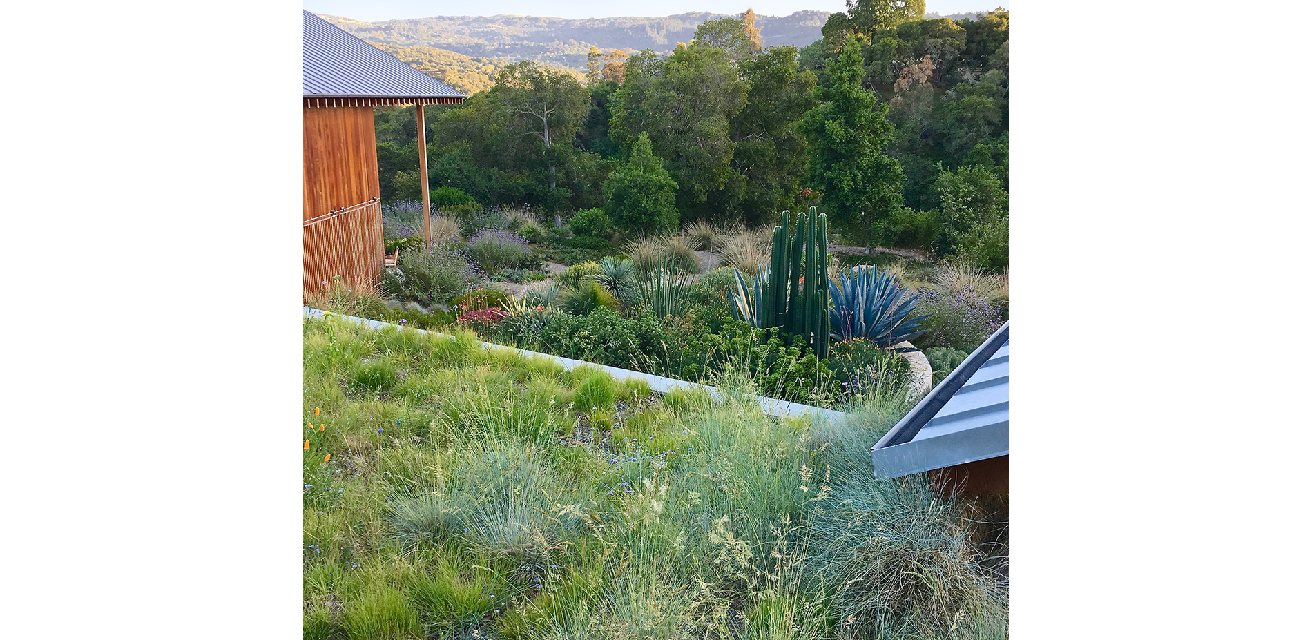 Roof Garden to Ground Level